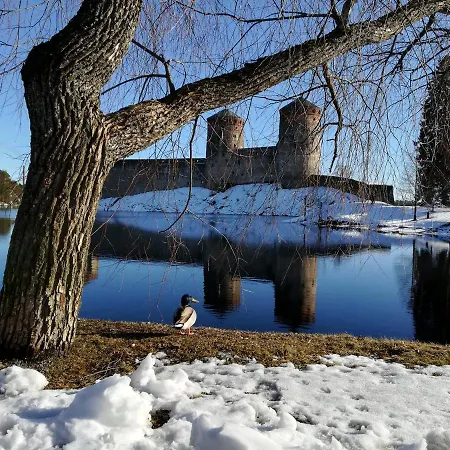 Savonlinna Rentals *