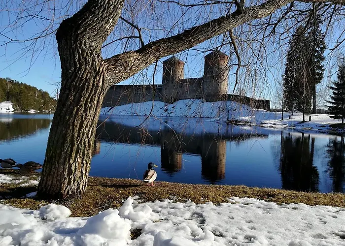 Savonlinna Rentals *